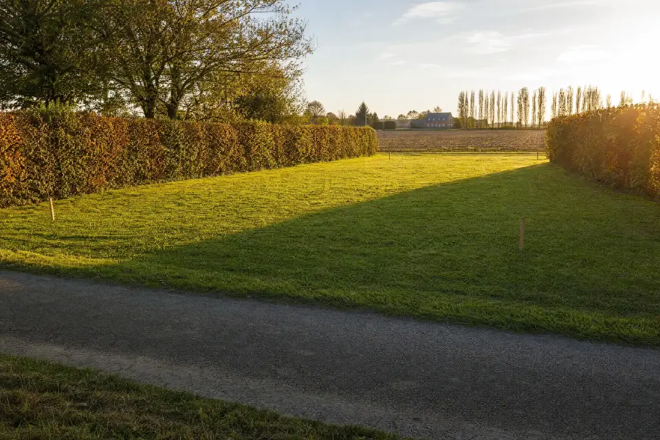 Grassy lot lined with a hedge at the end of the day
